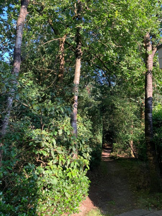 Bonte Specht: Tot Rust Komen In De Natuur! Otterlo Exterior foto