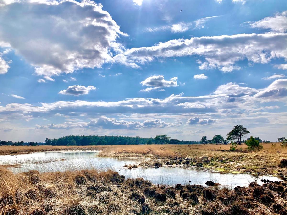 Bonte Specht: Tot Rust Komen In De Natuur! Otterlo Exterior foto