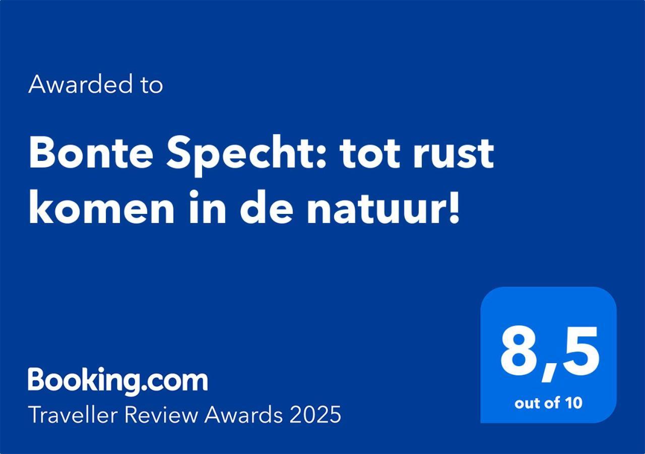 Bonte Specht: Tot Rust Komen In De Natuur! Otterlo Exterior foto